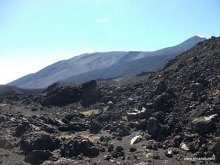 nte Pizzillo-21-10-2012 11-14-08